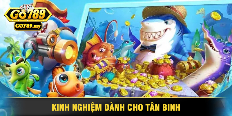Trải Nghiệm Cuộc Phiêu Lưu Kỳ Bí Với Bắn Cá Go789 4 Kinh Nghiệm Dành Cho Tân Binh