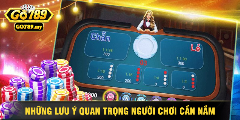 Những Lưu Ý Quan Trọng Người Chơi Cần Phải Nắm